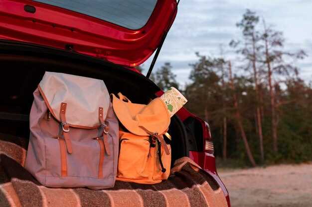 Dog-friendly Jeep adventures – what to pack