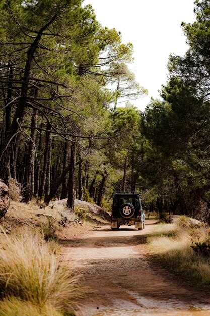 Tire Selection for Optimal Traction in Rugged Conditions