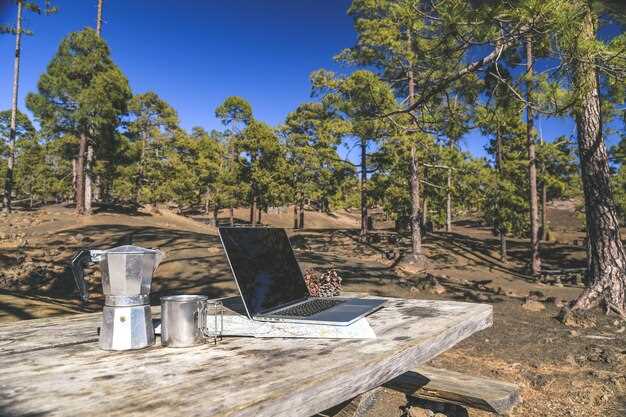 Maintaining Solar Power Systems During Overlanding Trips