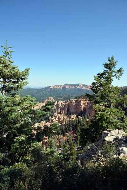 Top national parks perfect for Jeep exploration